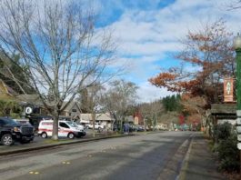 Occidental Town
